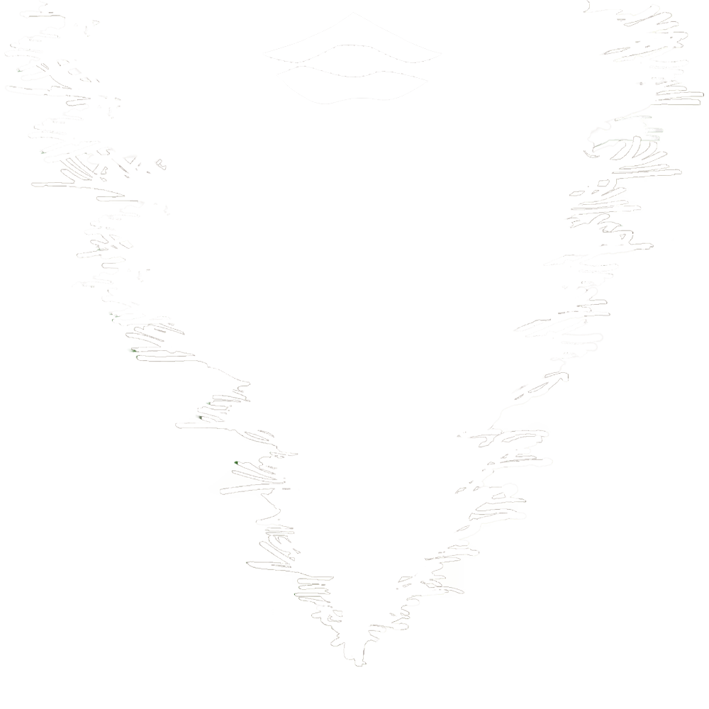 BAU SAPíN